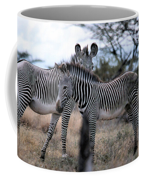 Zebra Coffee Mug featuring the photograph Two Zebras by Russ Considine