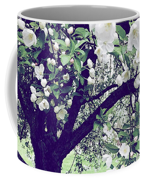 Crab Apple Coffee Mug featuring the photograph Under The Crab Apple Tree by Onedayoneimage Photography