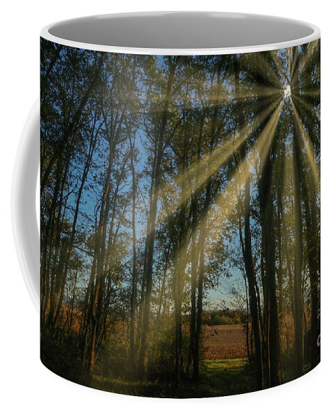 #imagelys #all_imagelys #imagelysstudio #imagelyspicturelab #imagelyspicturestyles #topazlabs Coffee Mug featuring the photograph Undergrowth 1 by Jean Bernard Roussilhe