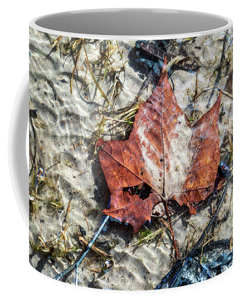 Delaware River Coffee Mug featuring the photograph Underwater Photography - Delaware River by Amelia Pearn