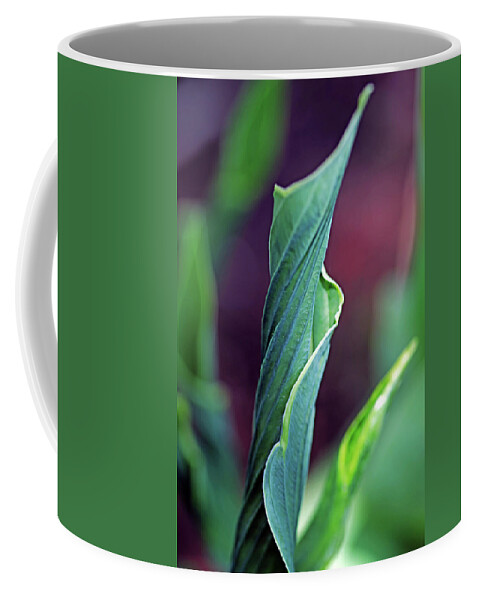 Hosta Coffee Mug featuring the photograph Unfurling Hosta Leaf by Debbie Oppermann