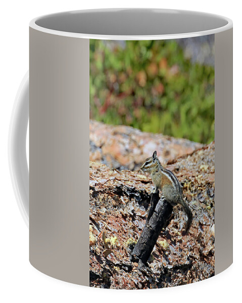 Utah Coffee Mug featuring the photograph Unita Chipmunk In Bryce Canyon by Jennifer Robin