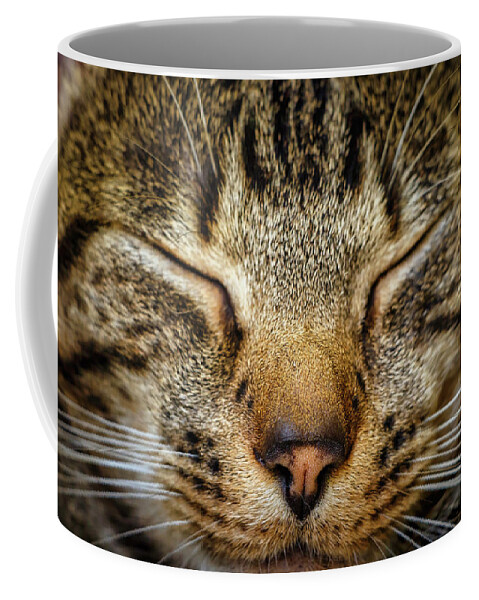 Cat Coffee Mug featuring the photograph Up Close and Personal with Kitty by Rick Deacon