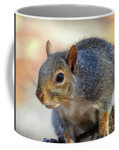 Squirrel Coffee Mug featuring the photograph Up Close by Cathy Kovarik