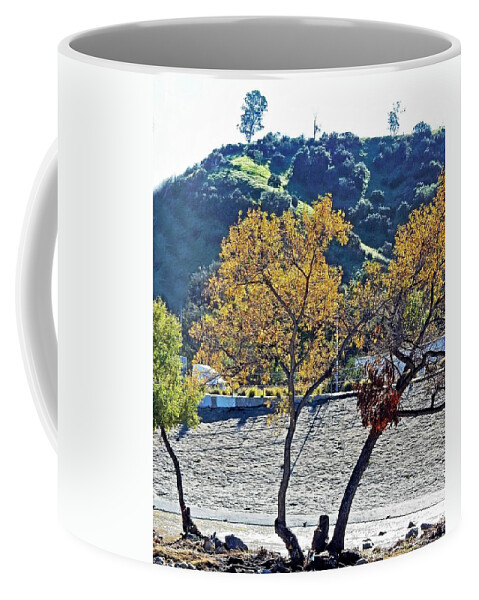Trees Coffee Mug featuring the photograph Urban Wilderness by Andrew Lawrence