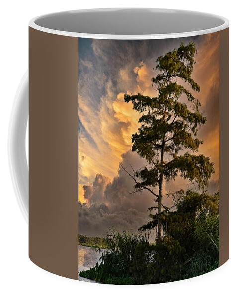 Louisiana Coffee Mug featuring the photograph USA Southern Louisiana and Bayou Landscape Vista 1 by Maggy Marsh