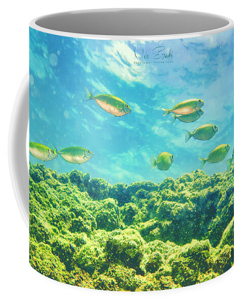 Under Water Coffee Mug featuring the photograph Uw 20210729 by Meir Ezrachi