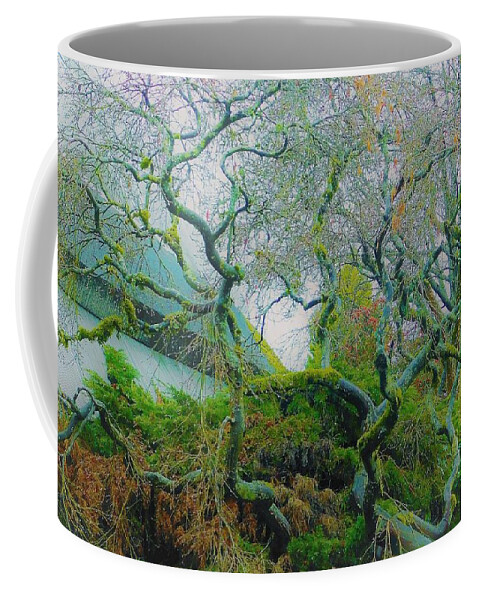 - Vancouver Bc Tree 3 Coffee Mug featuring the photograph - Vancouver BC Tree 3 by THERESA Nye