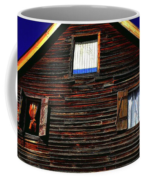  Coffee Mug featuring the photograph Varied Portals by Wayne King