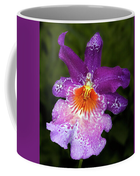 Orchid Coffee Mug featuring the photograph Vibrant Orchid Flower by Susan Candelario
