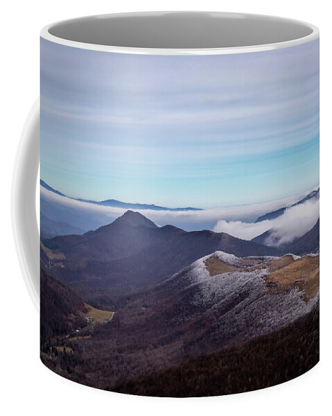 Trees Coffee Mug featuring the photograph View from the Top by Cindy Robinson