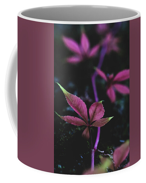 Mountain Coffee Mug featuring the photograph Vine Vibes by Go and Flow Photos
