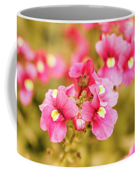 Pink Flowers Coffee Mug featuring the photograph Vintage Nemesia Flowers by Tanya C Smith