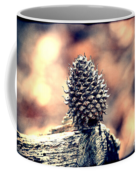 Pine Cone Coffee Mug featuring the photograph Vintage Pine Cone by Phil Perkins