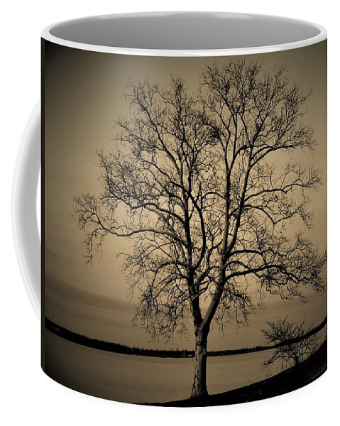 Trees Coffee Mug featuring the photograph Vintage Vignette Version of Tree by the Delaware by Linda Stern