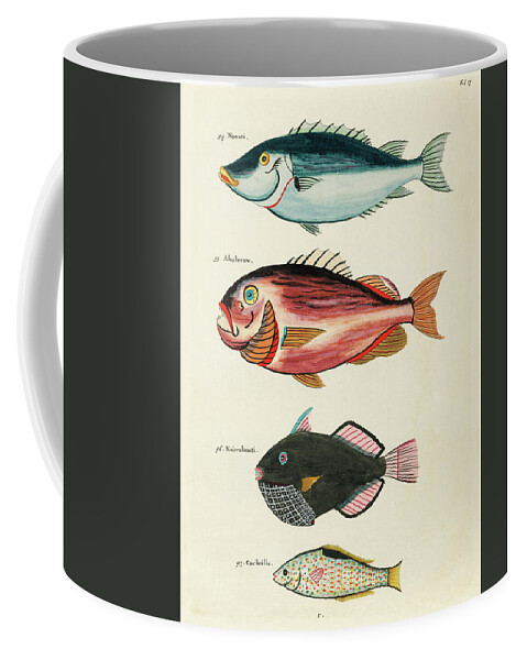 Fish Coffee Mug featuring the digital art Vintage, Whimsical Fish and Marine Life Illustration by Louis Renard - Abaleeuw, Naouti, Kokenbouti by Louis Renard