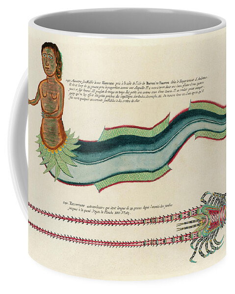 Fish Coffee Mug featuring the digital art Vintage, Whimsical Fish and Marine Life Illustration by Louis Renard - Sirenne, Mermaid, Ecrevisse by Louis Renard