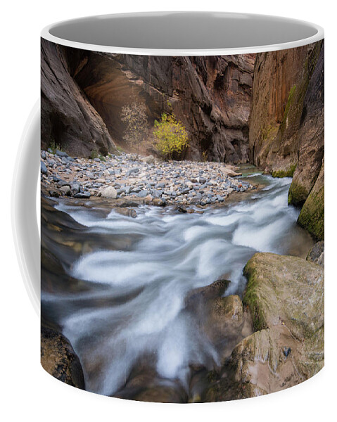 Zion Coffee Mug featuring the photograph Virgin River Narrows by Wesley Aston