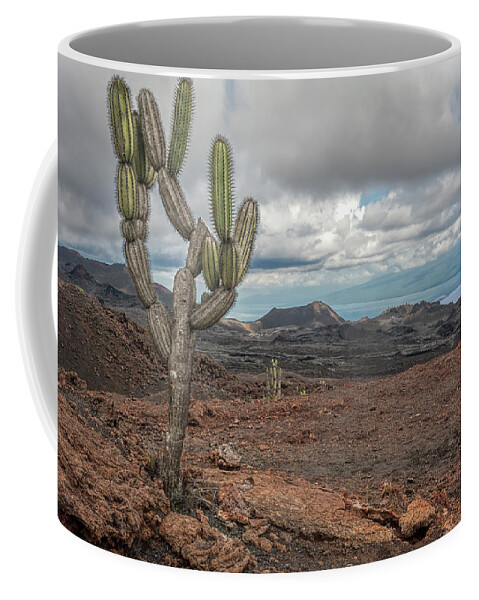 Cactus Coffee Mug featuring the photograph volcan Chico by Henri Leduc
