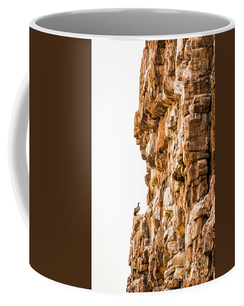 Landscape Coffee Mug featuring the photograph Vulture on Cliff by THP Creative