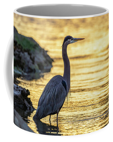 Great Blue Heron Coffee Mug featuring the photograph Wader at Dawn by Rachel Morrison