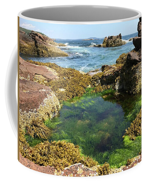 Ocean Coffee Mug featuring the photograph Wading Pool by Lee Darnell