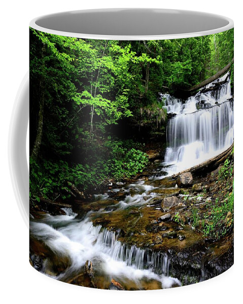 Waterfall Coffee Mug featuring the photograph Wagner's Falls by Kirk Stanley