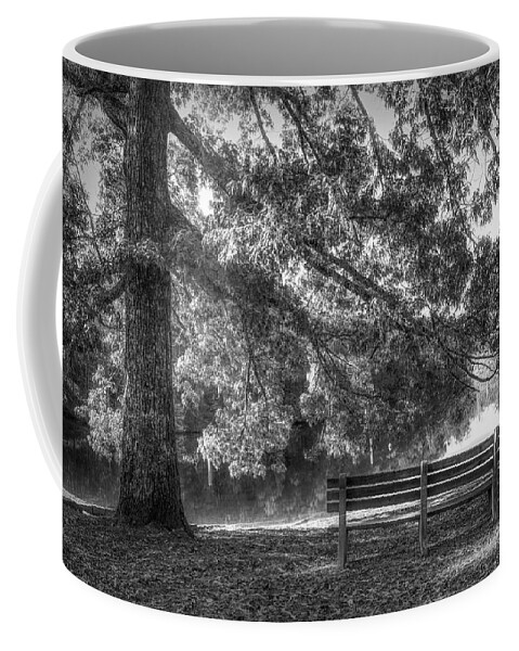 Benton Coffee Mug featuring the photograph Waiting in the Fall Black and White by Debra and Dave Vanderlaan