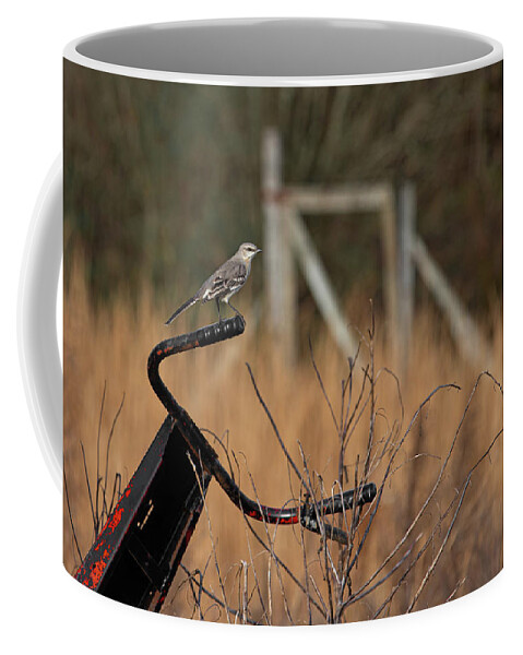 Bird Coffee Mug featuring the photograph Waiting by Jamie Tyler