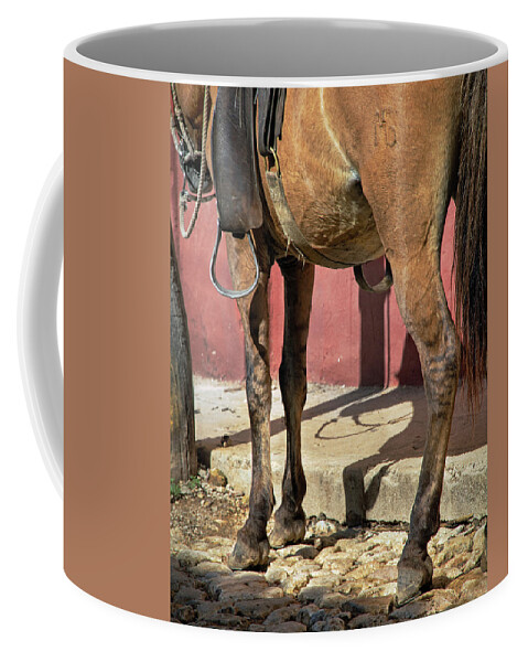 Horse Coffee Mug featuring the photograph Waiting by M Kathleen Warren