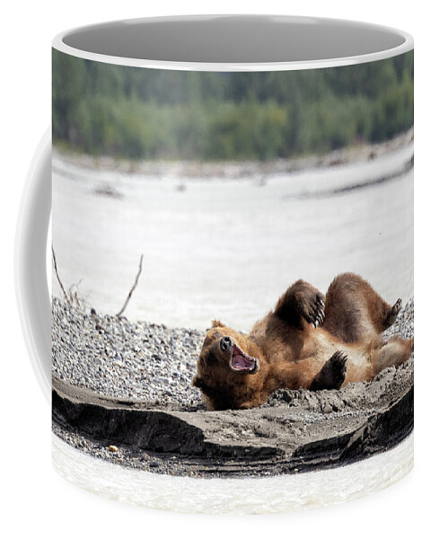 Alaska Coffee Mug featuring the photograph Waking up on the Sandbar by Cheryl Strahl