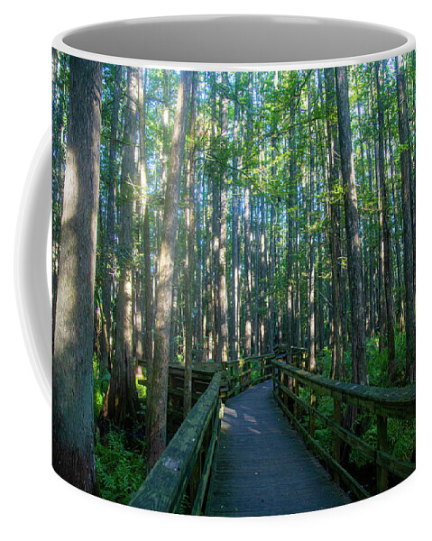 Trees Coffee Mug featuring the photograph Walkway through trees by Dart Humeston