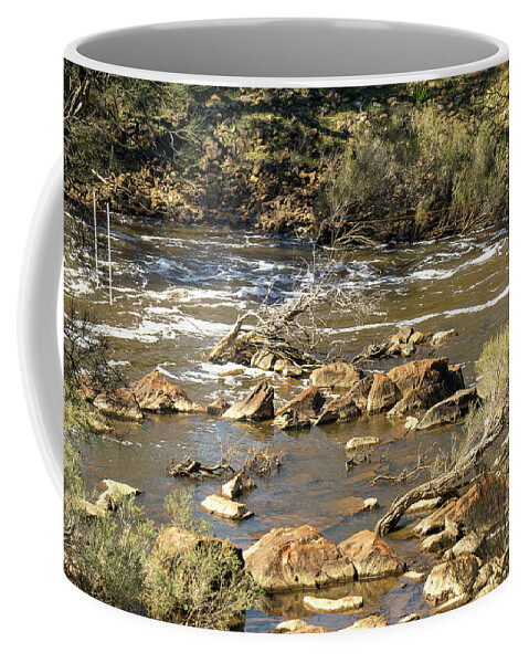 Walyunga National Park Coffee Mug featuring the photograph Walyunga National Park, Western Australia by Elaine Teague