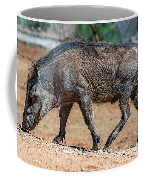  Coffee Mug featuring the photograph Warthog by Al Judge