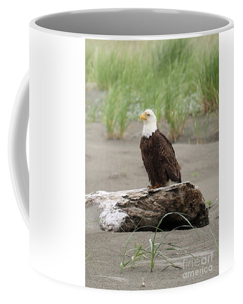 Bald Eagle Coffee Mug featuring the photograph Washington Beach Bald Eagle by Carol Groenen