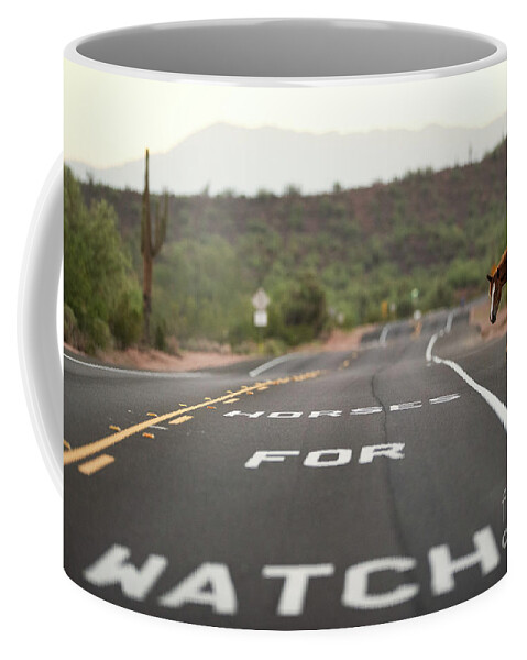 Salt River Wild Horse Coffee Mug featuring the photograph Watch For Horses by Shannon Hastings