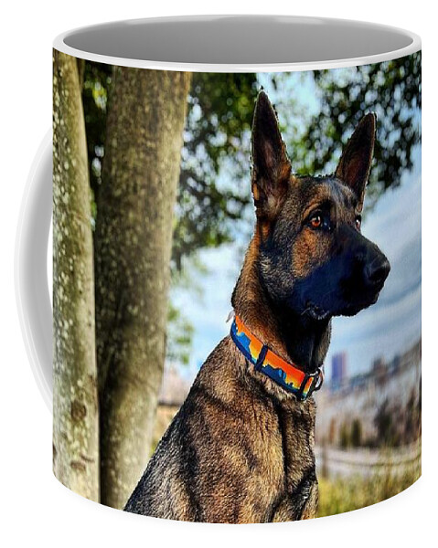  Coffee Mug featuring the photograph Watching by Stephen Dorton