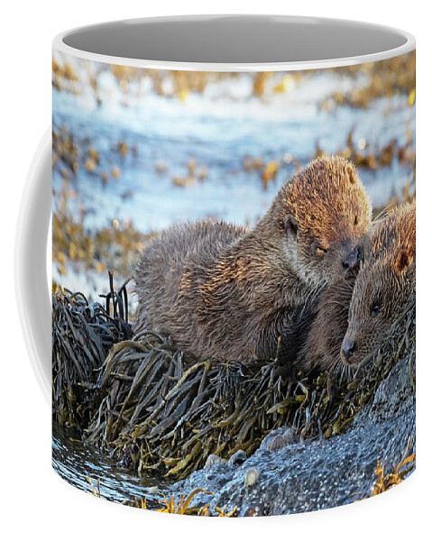 Otter Coffee Mug featuring the photograph Watching The Tide Come In by Pete Walkden