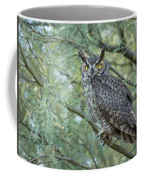 Owl Coffee Mug featuring the photograph Watching You by Sue Cullumber