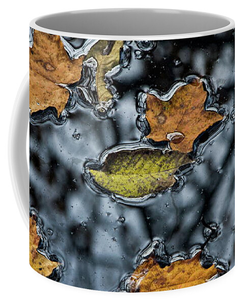 Water Coffee Mug featuring the photograph Water and Light 9 by Dawn J Benko