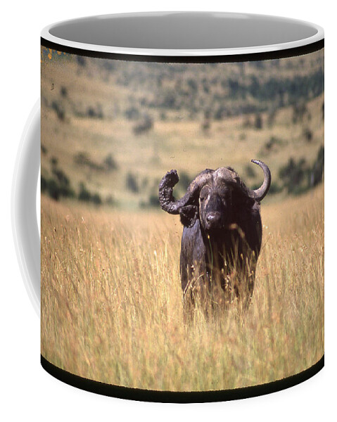 Africa Coffee Mug featuring the photograph Water Buffalo in Field by Russel Considine