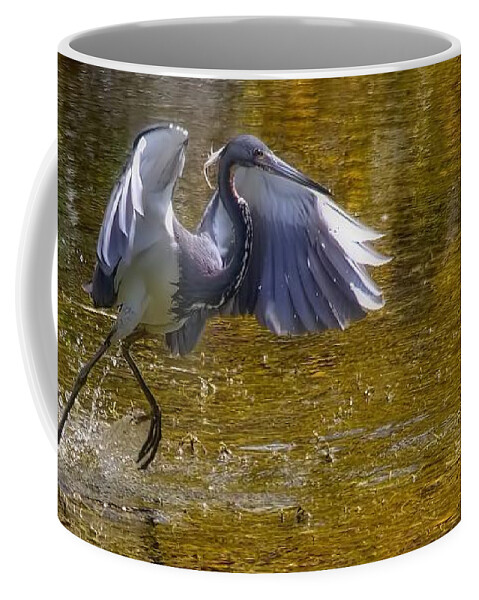 Tri-colored Heron Coffee Mug featuring the photograph Water Dancer I by Chrystyne Novack