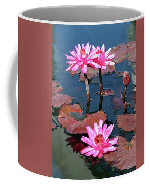 Water Lilies Coffee Mug featuring the photograph Water Lilies at Naples 4 by David T Wilkinson