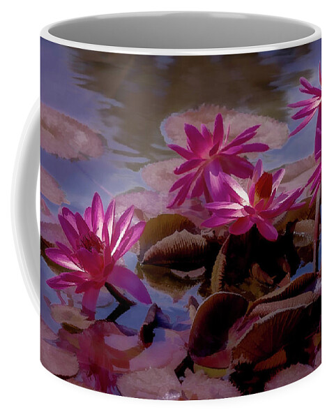 Plants Coffee Mug featuring the photograph Water Lilies by Vicki Stansbury