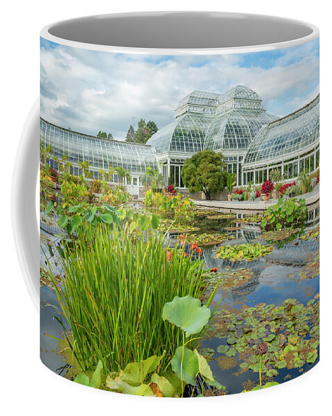 Lily Coffee Mug featuring the photograph Water Lily and Lotus Pond by Cate Franklyn