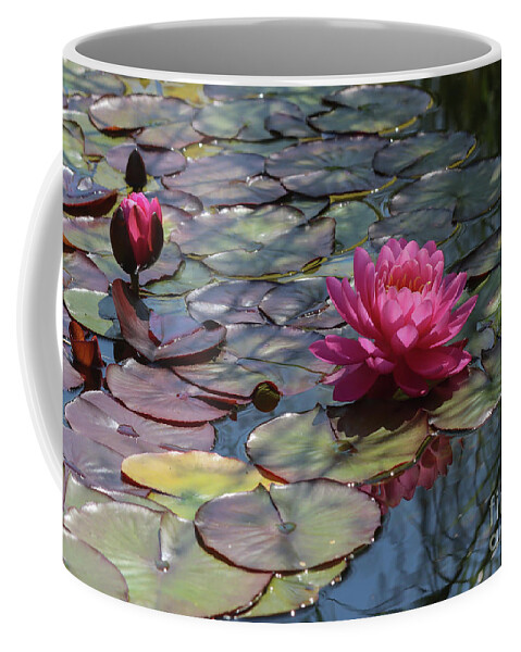 Water Lily Coffee Mug featuring the photograph Water Lily Pond by Eva Lechner