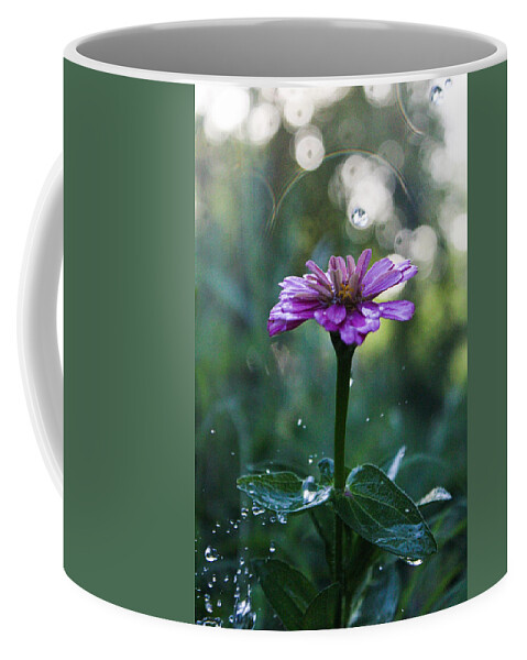 Waterdrops Coffee Mug featuring the photograph Waterdrops and a Pink Common Zinnia by W Craig Photography