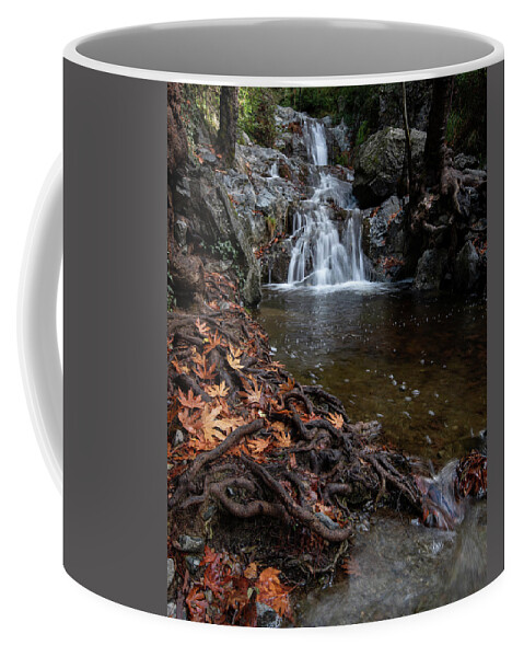 Waterfall Coffee Mug featuring the photograph Waterfall in autumn. by Michalakis Ppalis