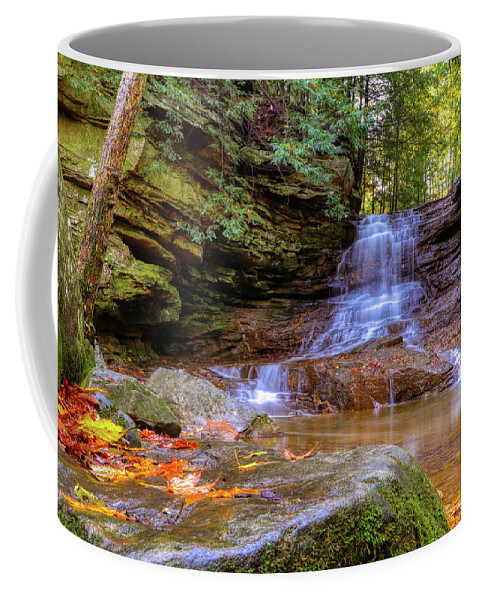 Stone Coffee Mug featuring the photograph Waterfall in Early Autumn by Ron Grafe