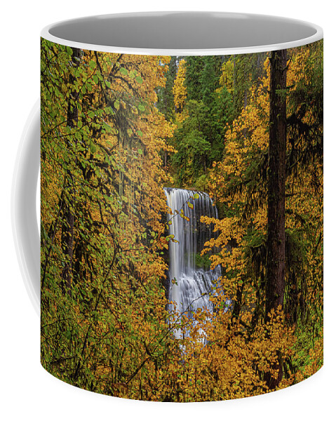 Fall Colors Coffee Mug featuring the photograph Waterfall in the forest by Ulrich Burkhalter